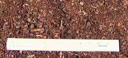  Double Ground Pine Mulch 