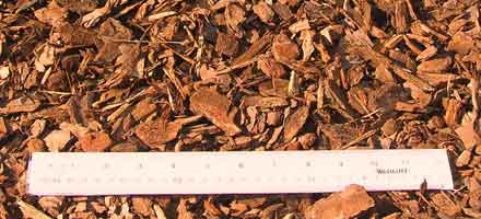  Pine Bark Mini Nuggets Mulch 